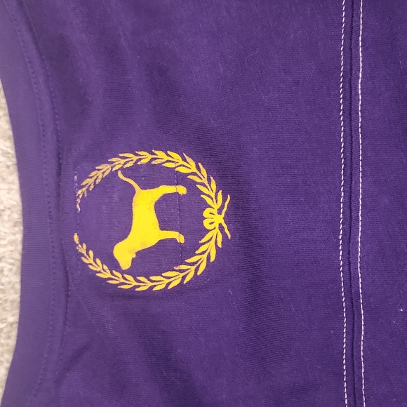 Victoria Secret NFL PINK Studded Viking's 3/4 Sleeve Tshirt - Picture 5 of 5